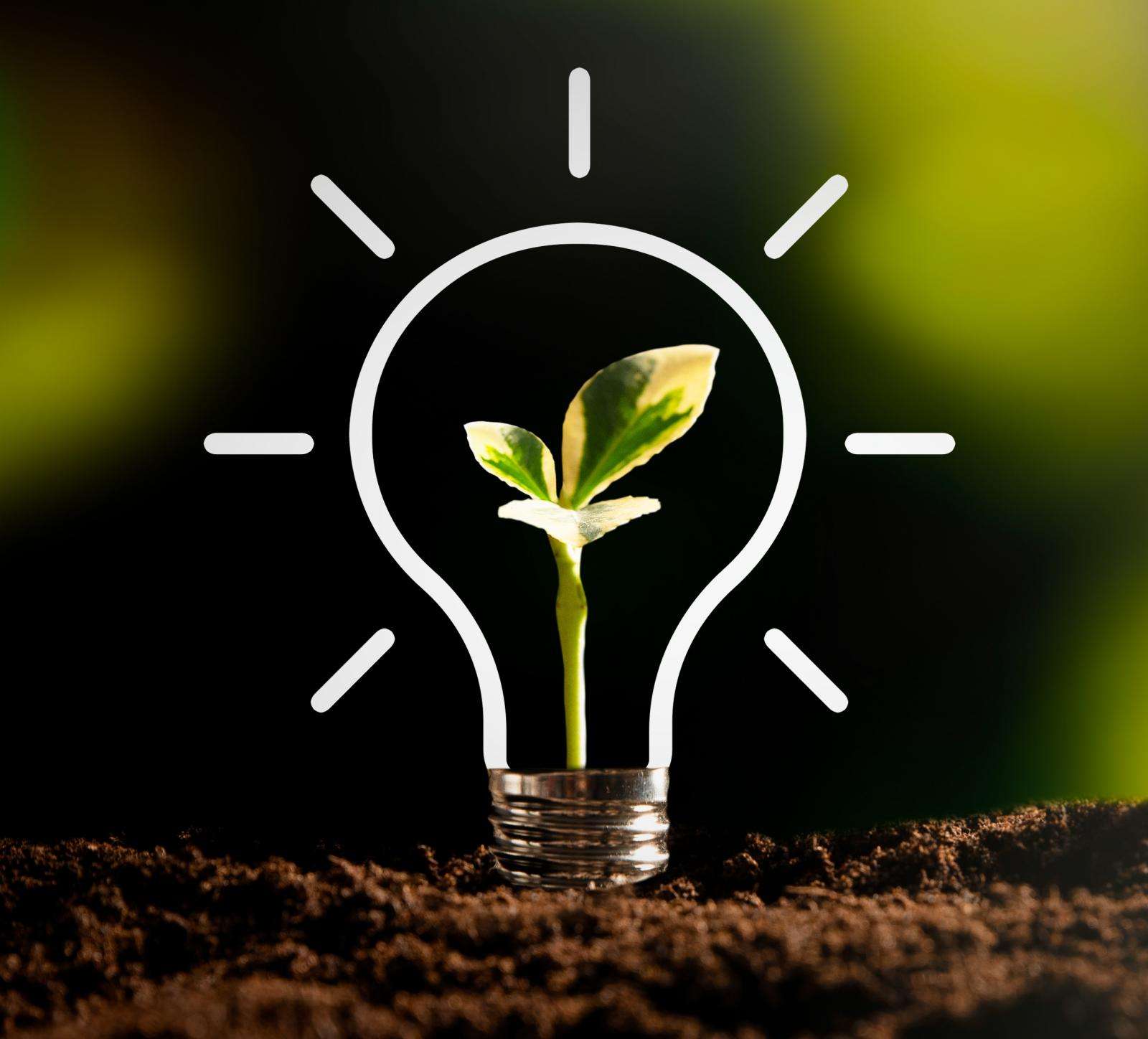 Hotel Madame - Medioambiente